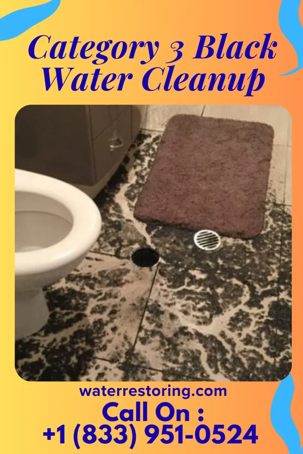 Category 3 Black Water Cleanup in Friday Harbor, WA