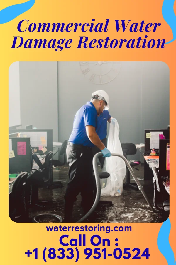 Commercial Water Damage Restoration in Friday Harbor, WA