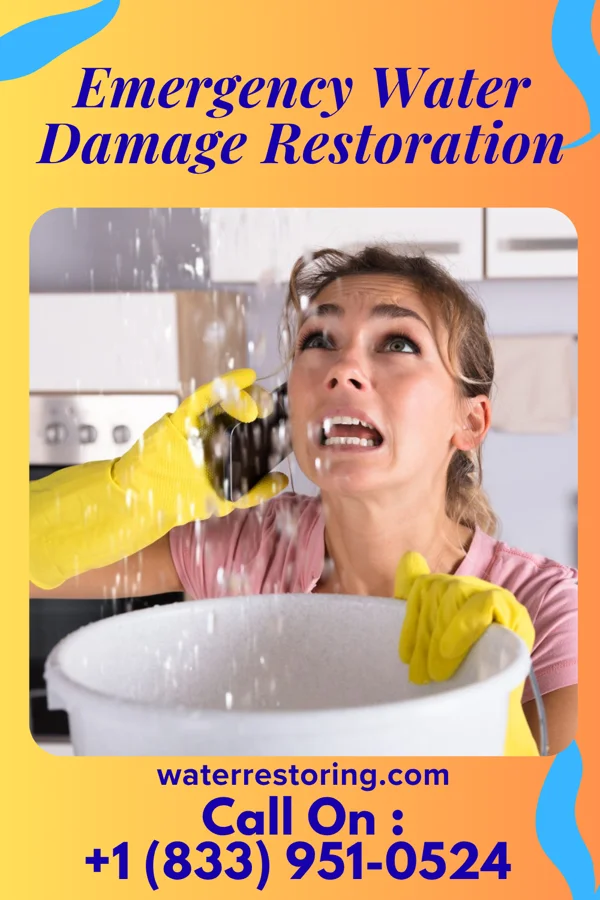 Emergency Water Damage Restoration in Friday Harbor, WA