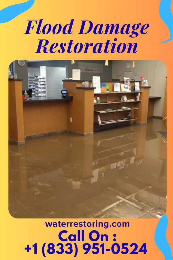 Flood Damage Restoration in Friday Harbor, WA