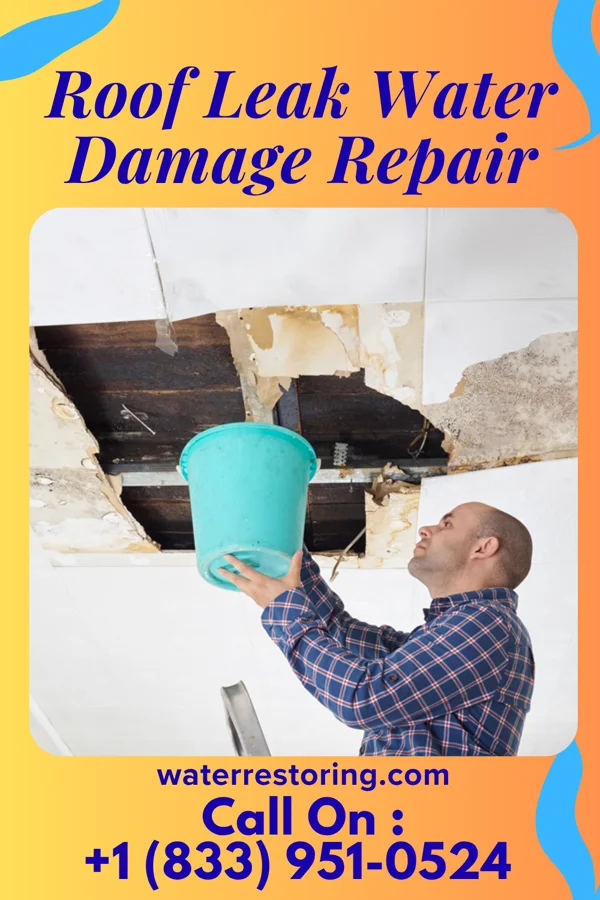 Roof Leak Water Damage Repair in Friday Harbor, WA